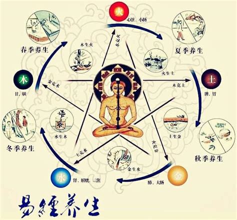 人體八卦|周易八卦:八卦來源,八卦的圖象,八卦圖解,詳解,